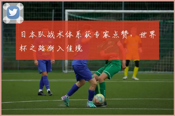 日本队战术体系获专家点赞，世界杯之路渐入佳境