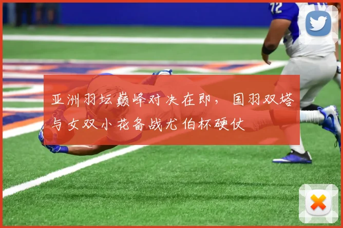亚洲羽坛巅峰对决在即，国羽双塔与女双小花备战尤伯杯硬仗