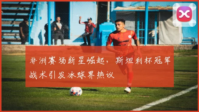 非洲赛场新星崛起，斯坦利杯冠军战术引发冰球界热议