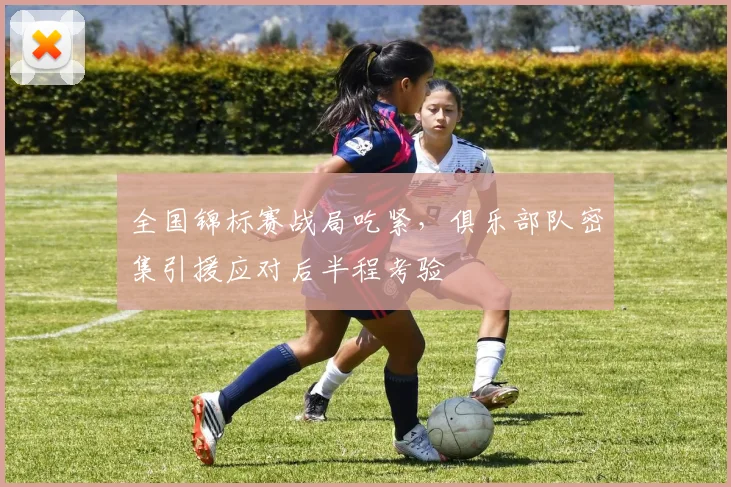 全国锦标赛战局吃紧，俱乐部队密集引援应对后半程考验